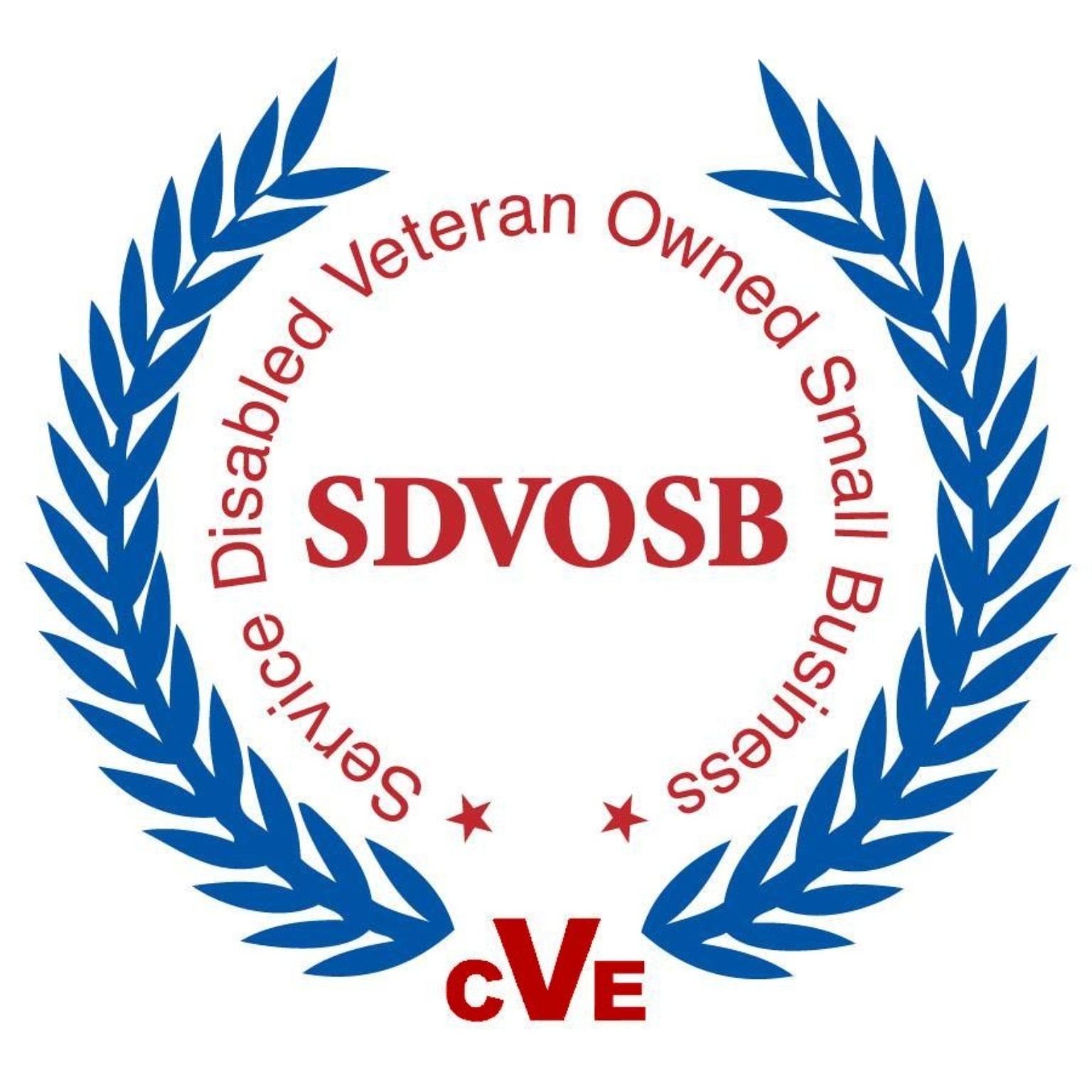 Service-Disabled Veteran-Owned Small Business (SDVOSB)